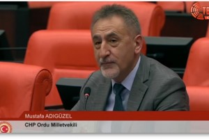 Adıgüzel’den "Ortak Akıl" Çağrısı: "TMO Piyasayı Dengelemeli"